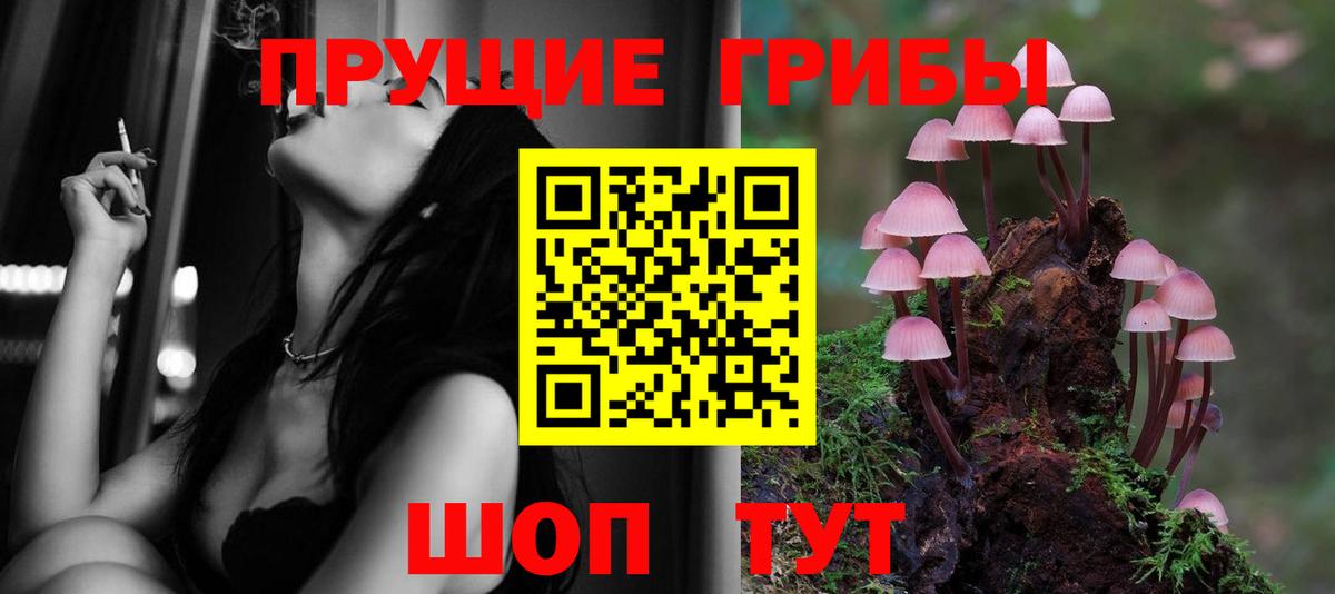 купить   Вход с VPN  Шали  Псилоцибиновые грибы прущие грибы 